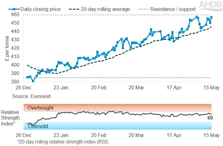 Line graph of Rapeseed futures Nov-26 contract prices over the past six months.